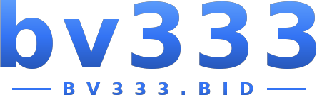 bv333 logo